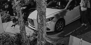 A New Goofy Zombie Comedy Is Out Now That Is Slightly Like ‘What We Do In The Shadows’