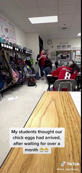 Still can’t believe I pulled off this epic prank 🤣🤣 #aprilfoolsprank #teacherlife #teachersoftiktok #chickhatching