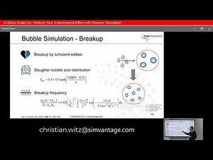 In Silico Scale Up Reduce Your Experimental Effort with Reactor Simulation