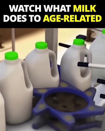 This vision-restoring ritual is helping seniors restore vision, erase floaters, and even toss out their glasses and contacts – all without eye drops, needles, OR painful surgery. Thousands of seniors report clearer vision, reduced eye strain, and more confidence driving – even at night! Click below to see the vision-restoring ritual stunning doctors around the world. | Retina Renew