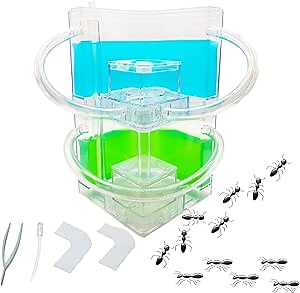 Large 2 Layer Gel Ant Colony Ecosystem Terrarium, Ant Habitat Science Learning Kit