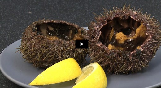 Comment ouvrir des oursins ? (Vidéo)