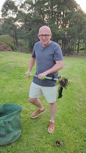 Aussie Gardener has just launched their new Stand Up Weeder that makes it a breeze to remove weeds from lawns and garden beds. Built tough out of stainless steel so that you will still be using it in years to come. $69.00 this is the ultimate weeding tool. In stock and ready to ship right now to your place. 1800 222 800 Phone Orders Or click the SHOP NOW button. | Aussie Gardener Store