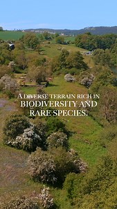 The Rothbury Estate A landmark sale of 9,486 acres in Northumberland. The largest single block of land to come to the open market in England in the last 30 years. Offering a diverse range of opportunities with extensive grassland, moorland, woodland and a portfolio of farms and cottages. Find out more here: https://bit.ly/44Pb08r | Knight Frank