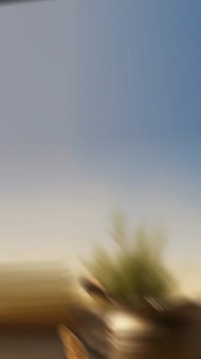 The Story of Manna: A Miraculous Provision in the Desert