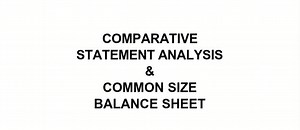 Comparative Statement Analysis & Common Size Balance SheetPle... | Filo