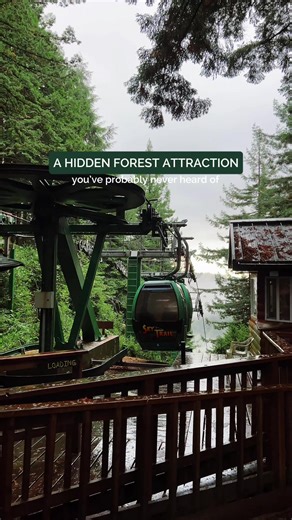 Hidden Forest Attractions: Explore the Sky Trail