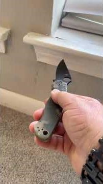 Hidden Termite Damage: Botched Repairs and Deceptive Fixes