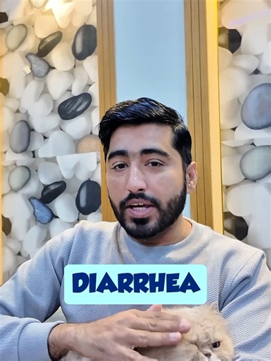 Understanding Diarrhea in Cats: Causes and Care Tips