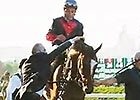 2014 Belmont Stakes Wrap