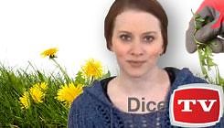 How to Prove Your Skills During an Interview