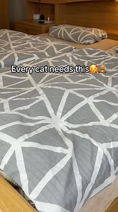 She’s soo obsessed with this toy🥰❤️ | Flappybirdtoy