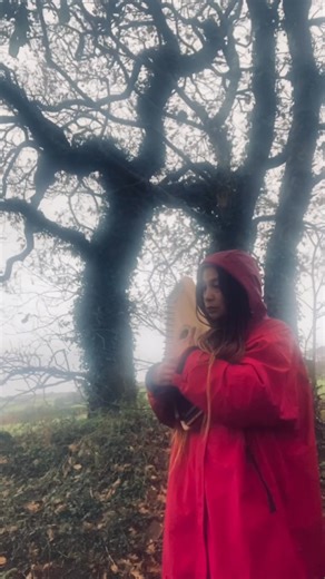 Tune is Stingo, or the Oyle of Barley from Playford’s Dancing Master (1651). Autoharp is my lovely new instrument by The d'Aigle Autoharps. It was so cold my fingers went numb. A drop of Stingo (or strong ale) would have been lush. See you on Friday 21 at OLD BAKERY STUDIOS where I shall sing and play, and WAD MorrisBook shall dance 🩷 #stingo #playfordsdancingmaster | Angeline Morrison Music