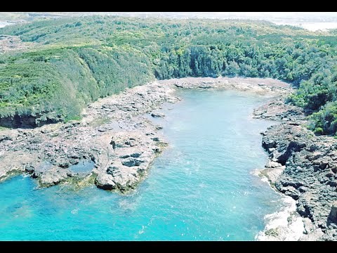 Diving NSW. Bushrangers Bay. 4K HD Dive & Drone.