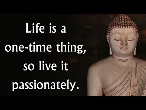 Buddha Quotes That Will INSTANTLY Bring You Inner Peace || Buddha's daily wisdom