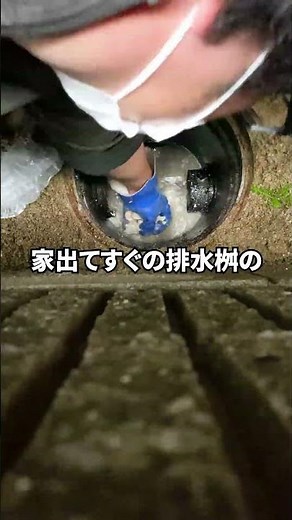 【詰まり抜き】戸建て詰まり原因No.1はこれ！家出てすぐの排水桝…@大阪府吹田市#shorts [キッチン排水管高圧洗浄][台所排水溝掃除]