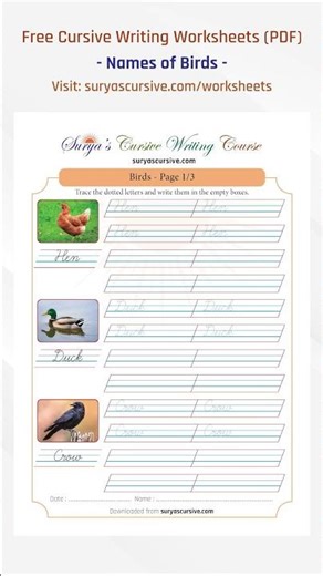 Names of Birds in Cursive Worksheets with Pictures | SuryasCursive.com