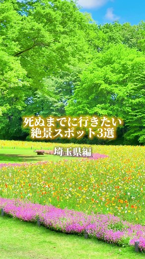 埼玉県の絶景スポット3選
