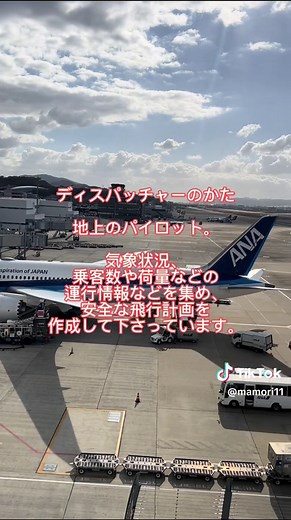 一機の飛行機が安全に飛ぶには。#CA #国際線 #キャビンアテンダント #飛行機 #空港 #飛行機好きな人へ #CA辞めた #cabin attendant#航空業界 #航空会社