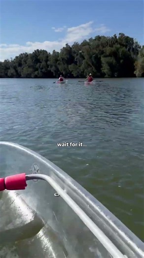 You need to paddle a 100% CLEAR KAYAK in the Merritt Island National Wildlife Refuge 🐬💦