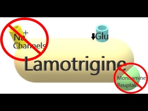 Lamotrigine (Lamictal) | Psychopharmacology Review
