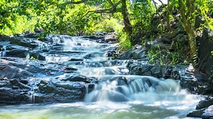 Stream in rainforest with soft flowing water and Ancient Ficus bengalensis grows like wool flowing through cliff creates a peaceful landscape to relax soul and meditation