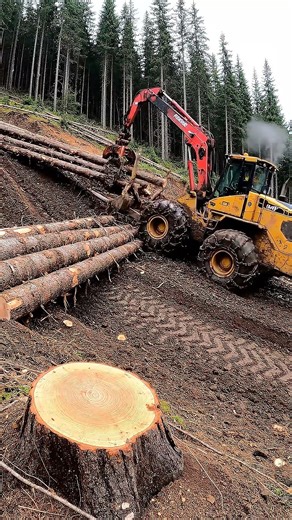 Forest Titan Precision Log Stacking