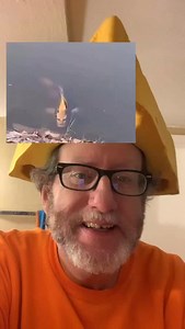 2.2K views · 251 reactions | Fish with a Human Face | Joegillespiethegreat | Facebook