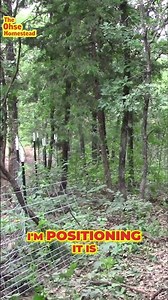 Building a Hog Panel Fence Step by Step Guide for Easy Installation