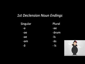CC Cycle 1 Week 3 Latin