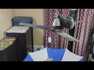 Ceiling fan slow speed video ceiling fan