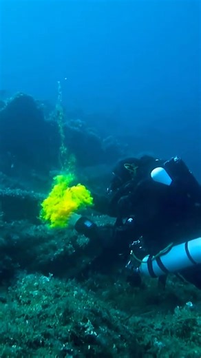 Liberty CCR Technical Diving: The diver in the video is testing a fluorescent dye used in emergencies to increase detection by rescue boats and aircraft. This fluorescent dye is safe and harmless and does not affect marine life. #Diving #TechDiving #Adventure #ExtremeSports #PeakFrozenClub | Kajol Rani