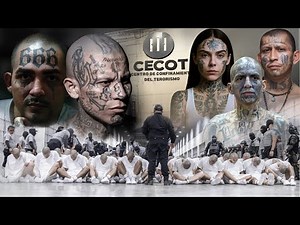 The World's Highest Security Prison: CECOT (Where Ruthless Gangs Are Locked Away) | Video 4K