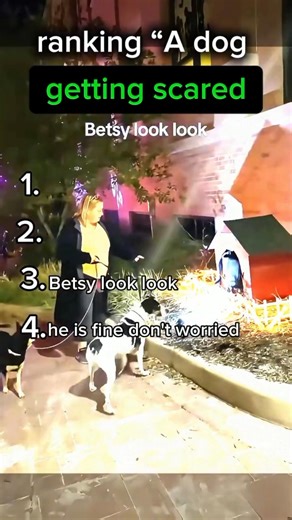 Top 5 Scared Dog Moments 😂🐶 (Wait for #1 😱)