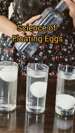 Science of floating an egg 🔥🔥 #science #experiment #physics #shorts #study #education