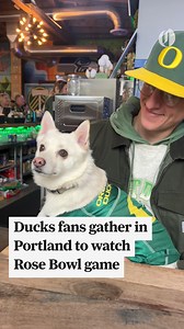 29K views · 184 reactions | Duck fans gathered at Birdie Time in Portland to watch Oregon in the Rose Bowl. Video by Howard Lao/Special to the Oregonian #GoDucks #Oregon #RoseBowl | The Oregonian | Facebook