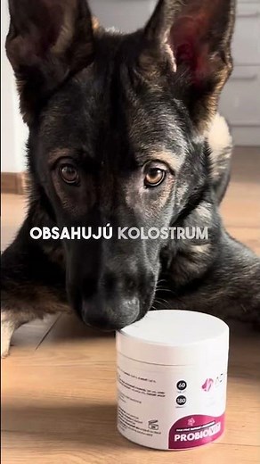Môj pes sa stále škriabal a trpel… Kým som neskúsila toto! 🐶✨ | Skúsenosť s ADYPO ProbioVit