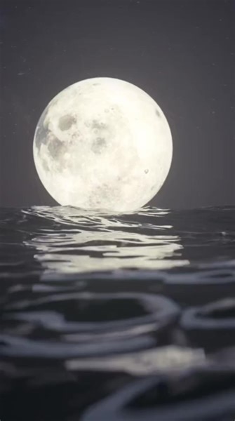 Sifat kepribadian Introvert #psikologi #kepribadian #introvert #motivasihidup #faktapsikologi | Crash Psychology