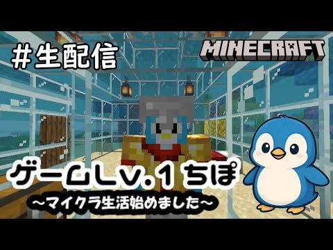 生配信＃98【マインクラフト】ゲームLv.1ちぽマイクラ生活始めました☆彡【Minecraft】