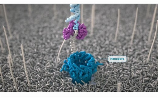 纳米孔测序技术专题解析视频