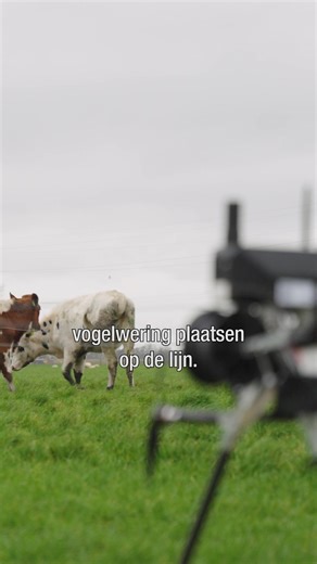 🐦 Veiliger vliegen voor vogels dankzij slimme innovatie Vogels hebben hulp nodig om veilig over hoogspanningslijnen te trekken. Samen met Qirion passen we sinds kort de Hawk Eye-methode toe: markeringen die hoogspanningslijnen beter zichtbaar maken voor vogels. Zelfs ’s nachts en bij slecht weer! Lees er meer over op onze website: https://www.tennet.eu/nl/nieuws/innovatieve-draadmarkeringen-om-vogels-te-beschermen #duurzaamheid #innovatie #vogels #energie #hoogspanningslijn | TenneT Netherlands