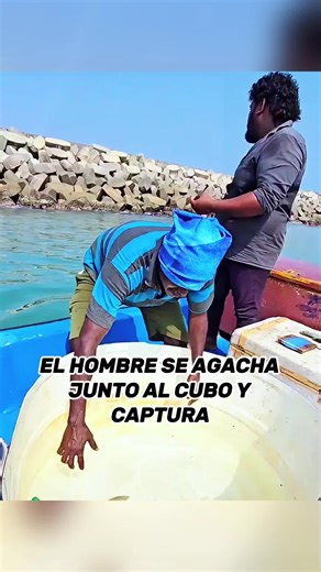 Use Live Fish as Bait: Tips and Techniques