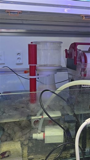 (Royal Exclusiv) Bubble King, Double Cone 180 with DCS 600 (Deltec DCS 600 needle wheel pump)