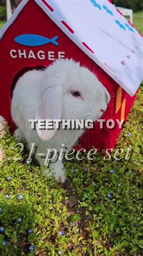 Bunny Teething Snacks for Outings