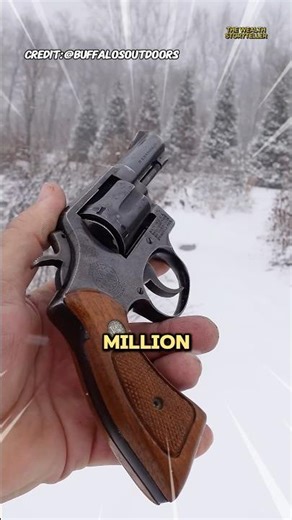 Here are the 5 most popular revolvers in America you need to know #shorts