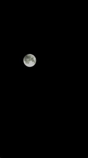 The Strawberry Moon from my backyard 6/10/2025