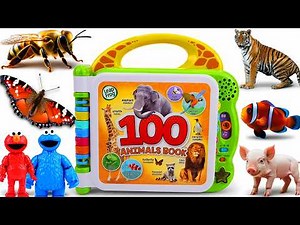 Sesame Street Unboxing 100 Animals Interactive Sound Book | Learn Animal Names