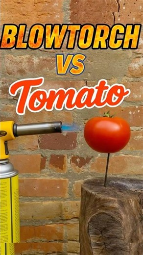 BLOWTORCH vs TOMATO🔥 Can It Handle the Heat? #experiment