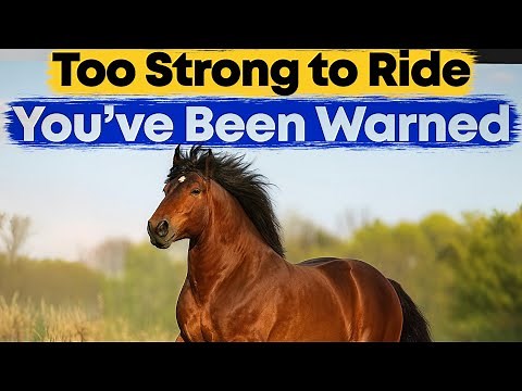 20 Horses So Strong They Made History (Ranked)
