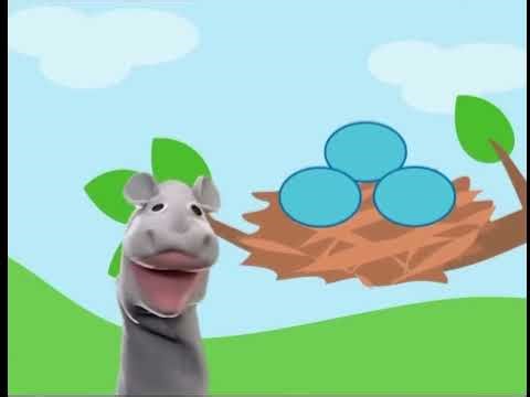 Baby Einstein parody #6